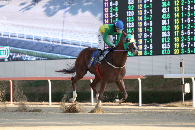 오는 8일 올해의 단거리 최강馬전 시작! 부산일보배 대상경주 개최