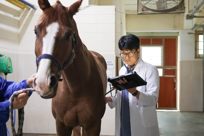 "말과 사는 남자"... 한국마사회 말수의사, 경주마의 안전을 지키는 숨은 주역