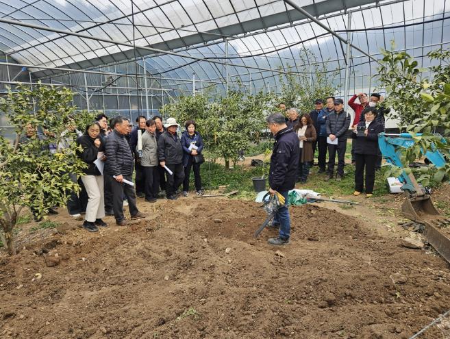 고흥군, 유자 유목 수형 만들기 교육 실시 (1) - 유자 묘목 식재 요령 및 수형만들기 전정교육