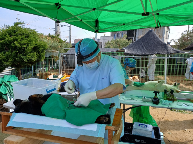 민간동물보호시설 ‘찾아가는 진료’ 시작 / 경기도