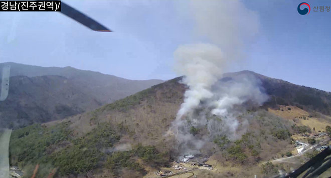 (사진제공=산림청)