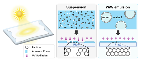 코스메카코리아, '물-물 에멀전' 기반 자외선 차단제 개발…국제 학술지 게재