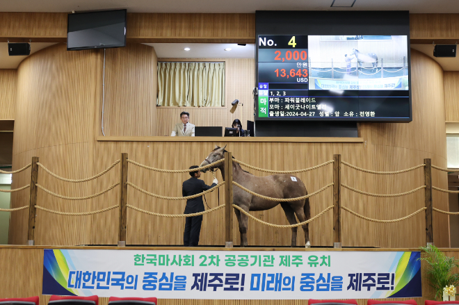 올해 첫 2세 경주마 경매 제주서 열려...최고가 6,300만원 기록