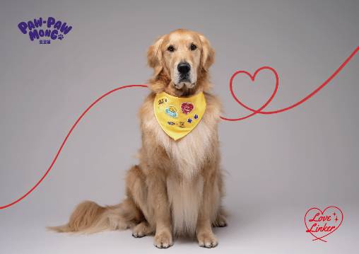 깨끗한나라 포포몽, 헌혈견 문화 확산 캠페인 전개