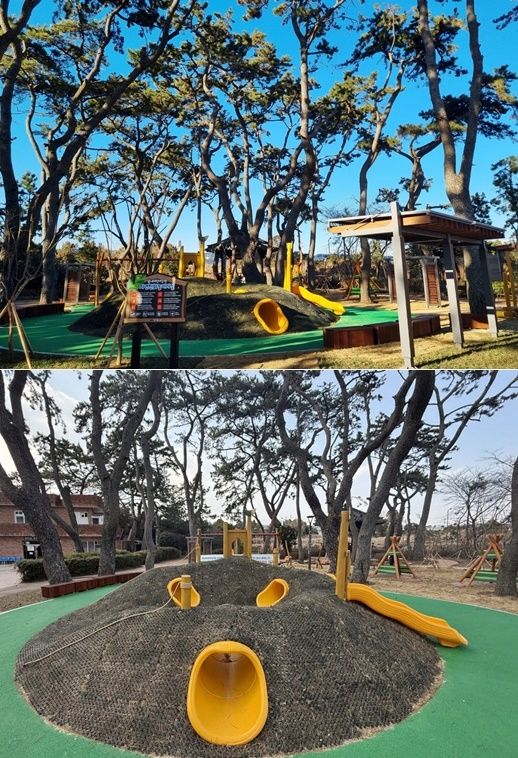 (사진제공=부산 기장군)