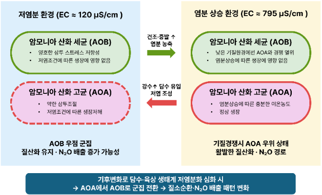 국내 연구진, 암모니아 산화 미생물 군집 구조 바꾸는 결정적 요인 규명