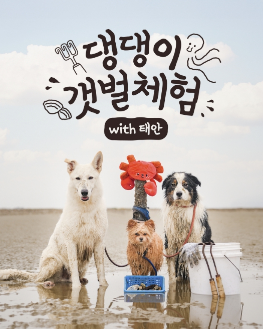 2026년 사업홍보물