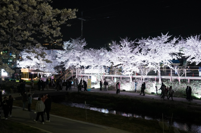 천안시가 4월 한 달간 운영하는 ‘봄꽃향연’ 모바일 스탬프투어의 주요 코스인 원성천