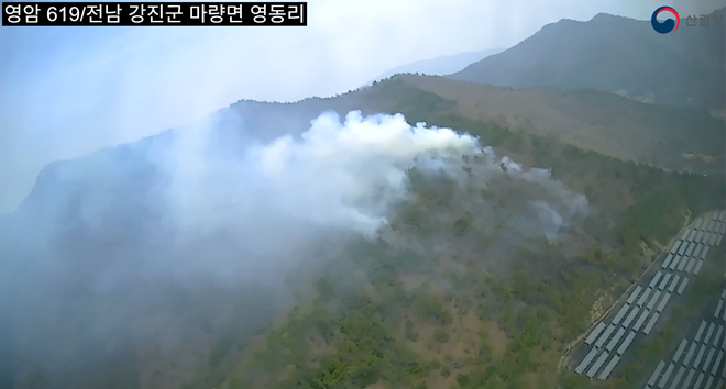 (사진제공=산림청)