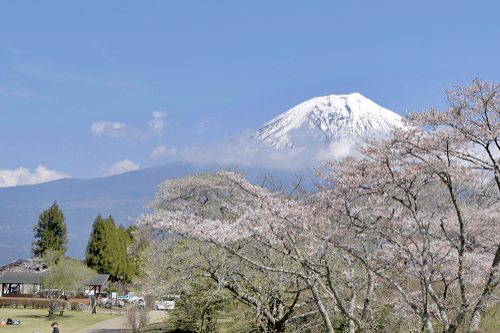모두투어, 시즈오카 후지산 캠핑 테마 여행 3차 운영 완료
