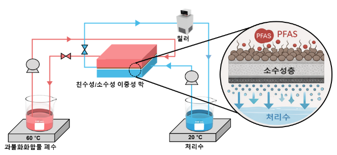 Janus PDA/PVDF 분리막 기반 막증류 공정 개략도. 사진=한국연구재단