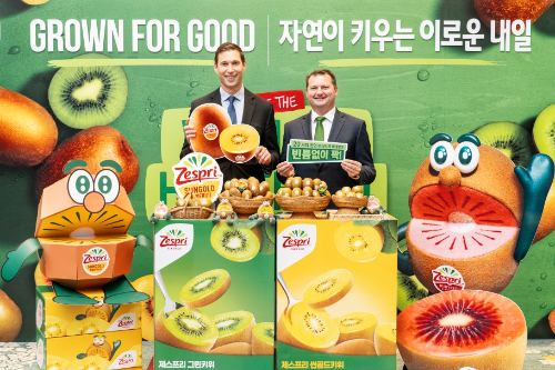 제스프리, 올해 뉴질랜드산 키위 국내 첫 출하…썬골드·루비레드 선봬