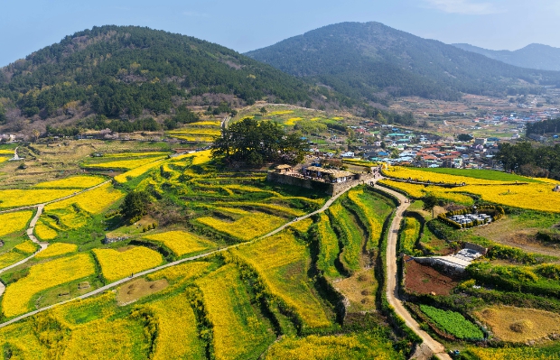4월 30일까지 ‘청산도 슬로걷기’ 축제