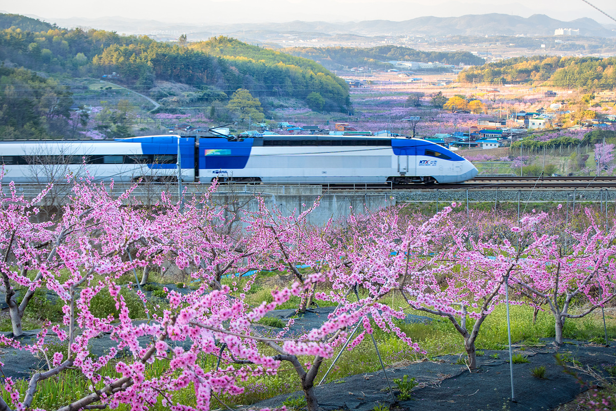산천 이미지.(사진=코레일)
