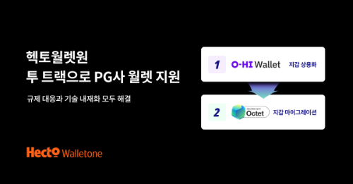 헥토월렛원, PG사 디지털자산 지갑 도입 위한 투 트랙 전략 제시