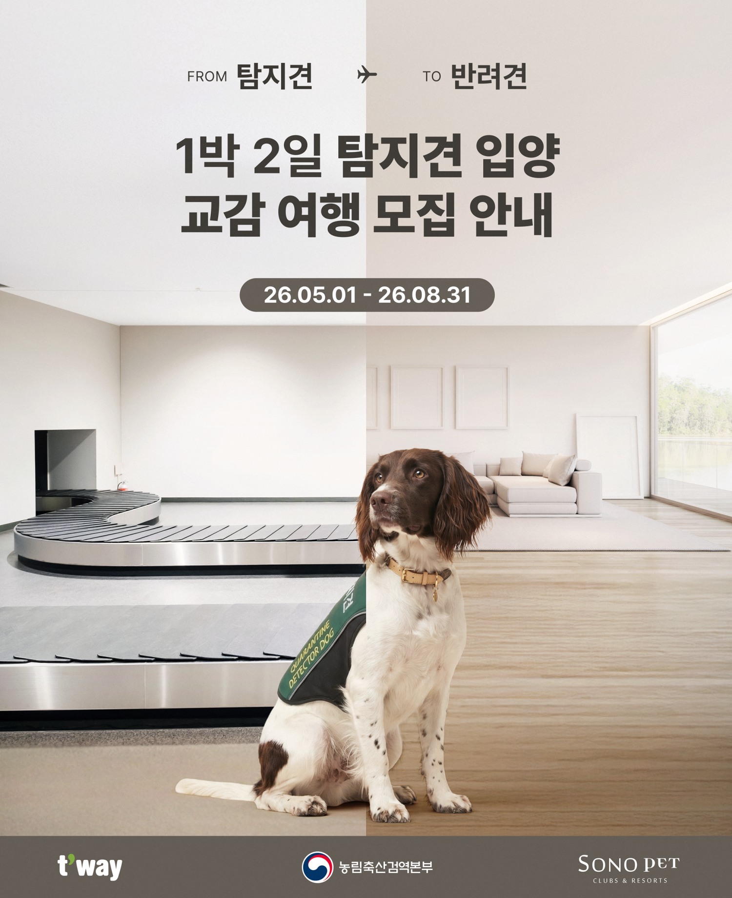 티웨이항공, ‘From 탐지견 To 반려견’ 프로그램 진행