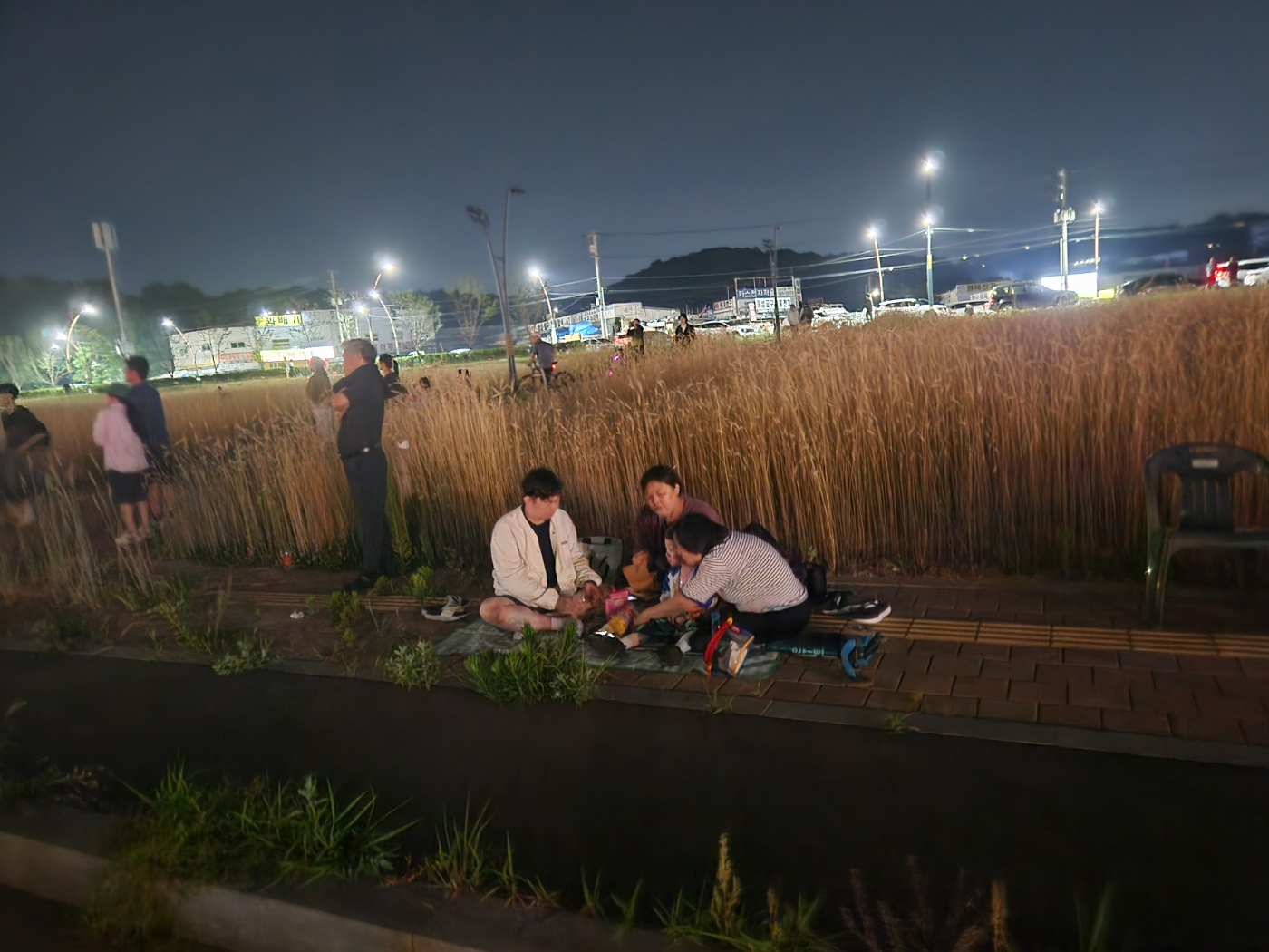 호밀 밭 주변에서 돗자리를 깔고 한 가족이 공연을 즐기고 있다.
