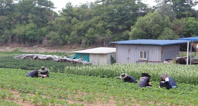 (사진제공=평택준법지원센터)