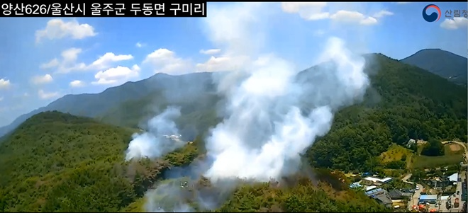 (사진제공=산림청)