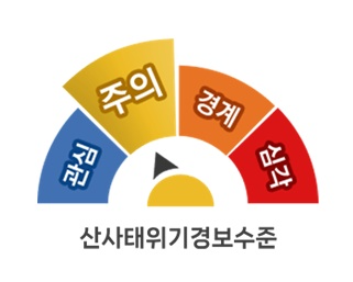 (제공=산림청)
