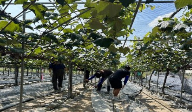 (사진제공=논산보호관찰소)
