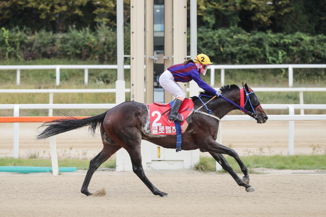 최강 국산마를 향한 2,000m 승부…제22회 대통령배(G1), 렛츠런파크 서울서 개최