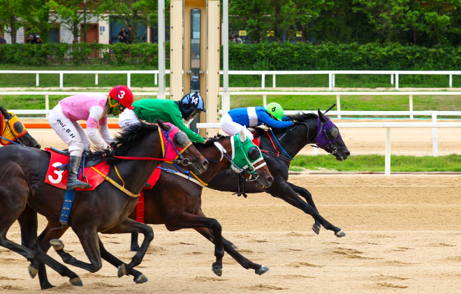 최강 국산마를 향한 2,000m 승부…제22회 대통령배(G1), 렛츠런파크 서울서 개최