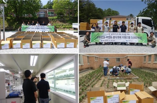 서울남부구치소, 구치소에 야생화 3000본 심어 꽃밭