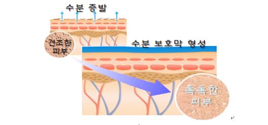 뜨거운 한여름.. 내 피부를 위협하는 요소는