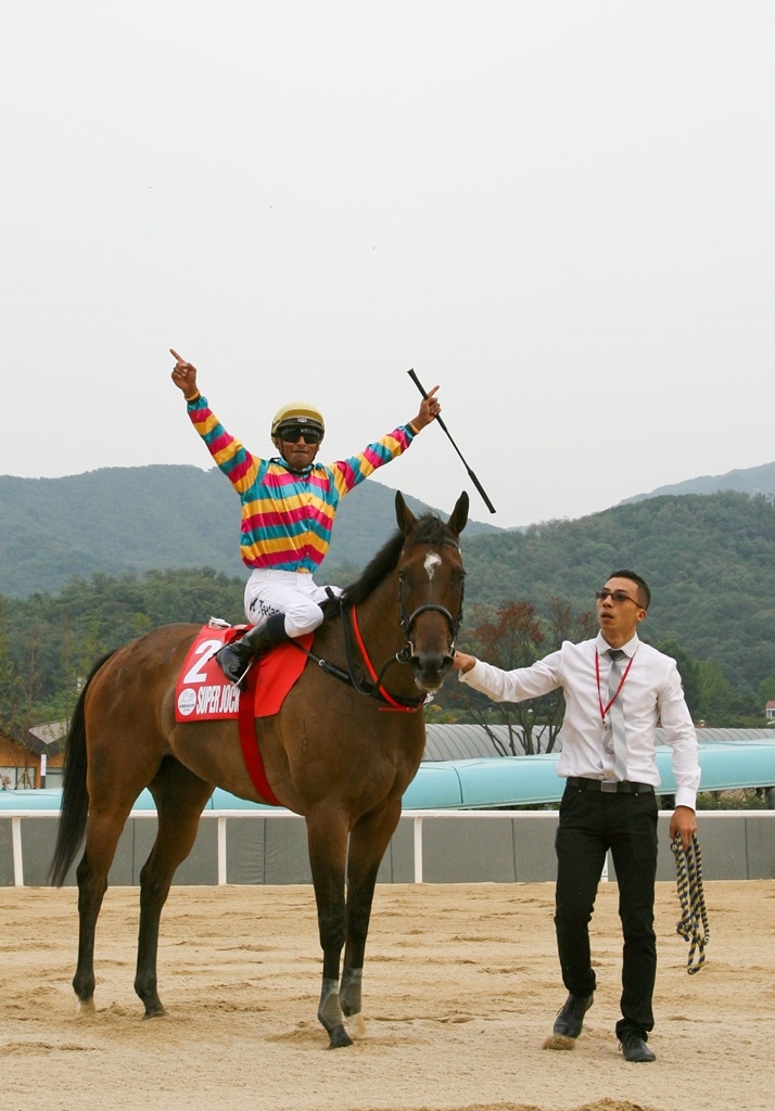 코리아 스프린트 경주_홍콩 슈퍼자키와 티탄기수.(사진=한국마사회)