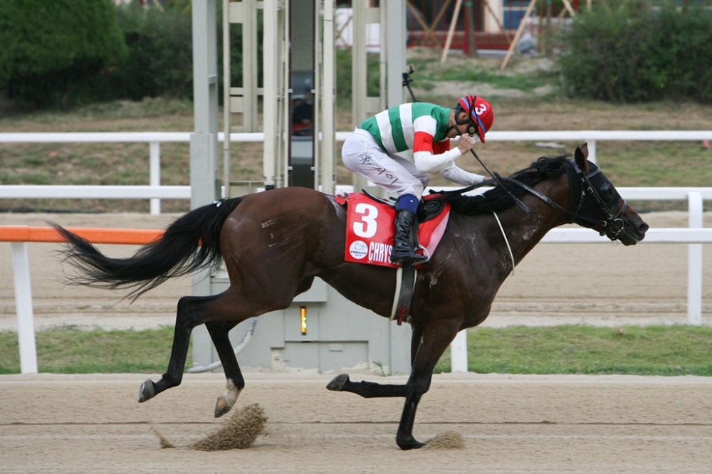 코리아컵 3번마 크리솔라이트 후지이 기수. (사진=한국마사회)