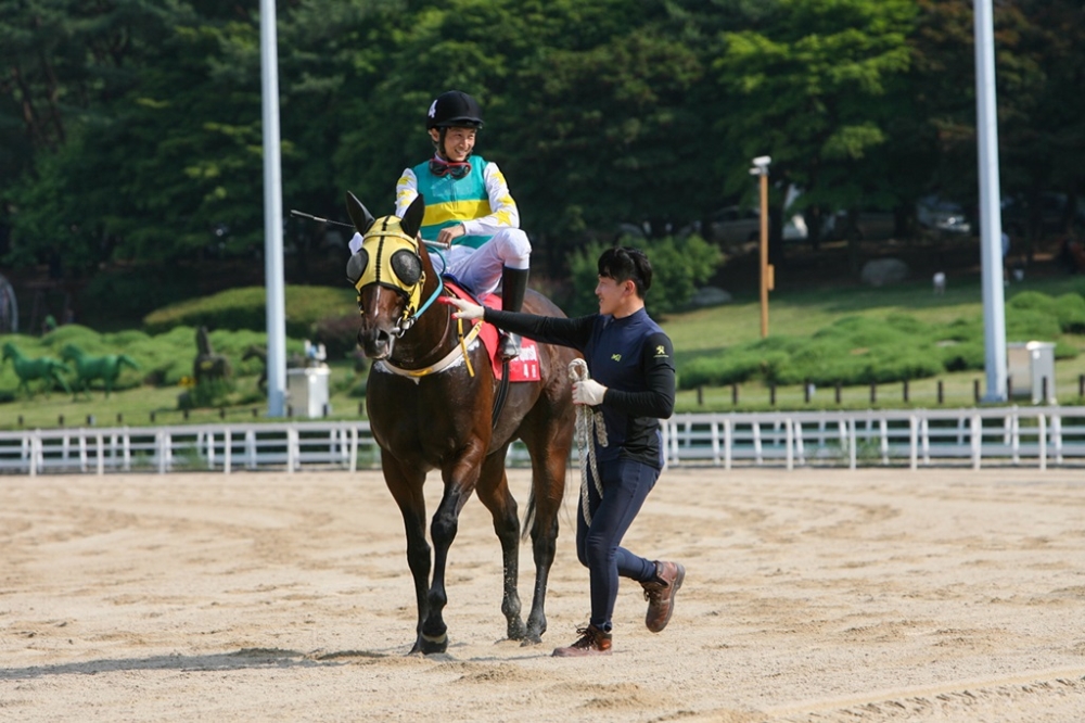 스피드 최강마 페르디도포머로이.(사진=한국마사회)