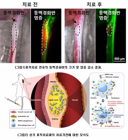 (사진=고려대 구로병원)
