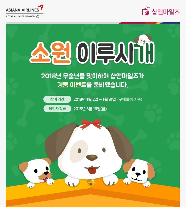 (사진=아시아나항공)