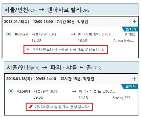 홈페이지 예약시 공동운항 확인 화면 (사진=대한항공)