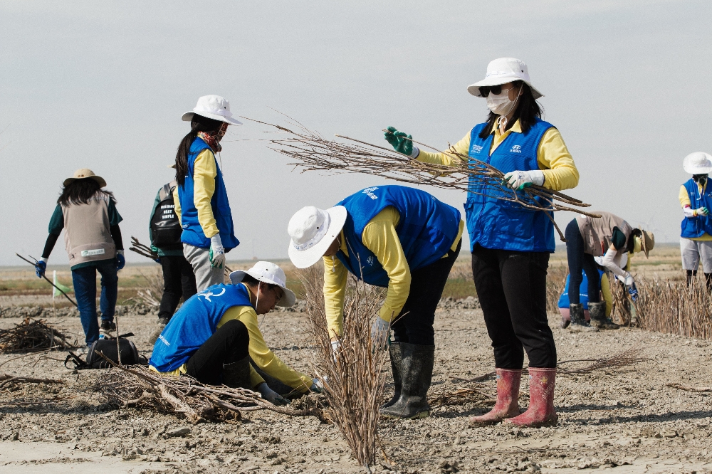내몽고 사막화 방지사업 현대그린존.(사진=현대차그룹)