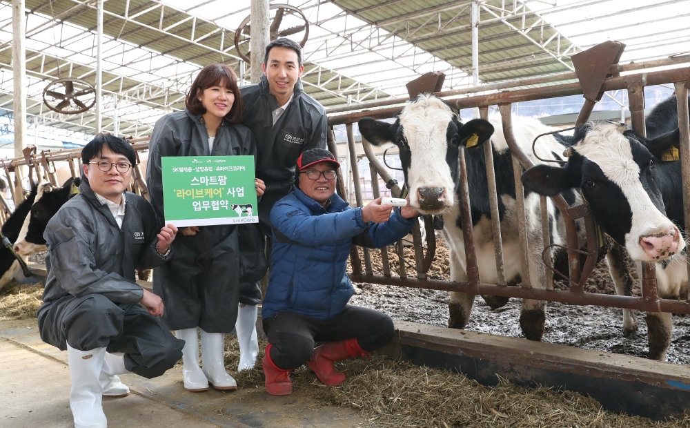 남양유업 라이브케어 도입 (사진=남양유업)