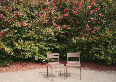 인터파크투어가 작년 한 해 고객들이 가장 많이 예약한 제주 여행상품을 특가 판매한다. 사진=제주 카멜리아힐