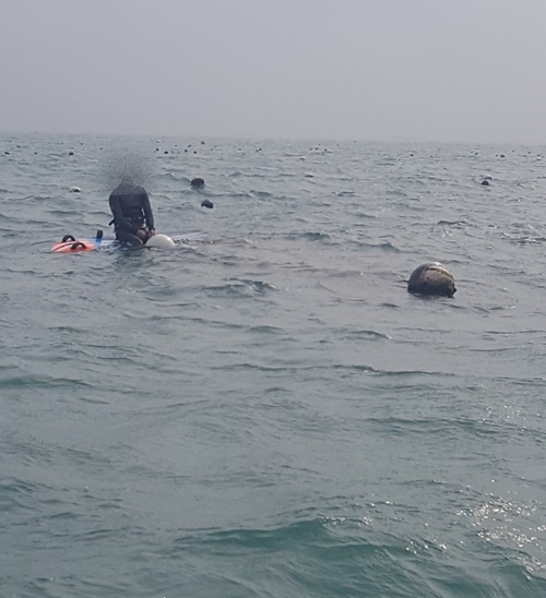 윈드서핑 표류자를 구조하고 있다.(사진제공=부산해양경찰서)