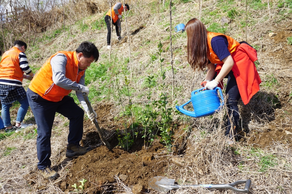 신입사원 나무심기 전경. (사진= 한샘)