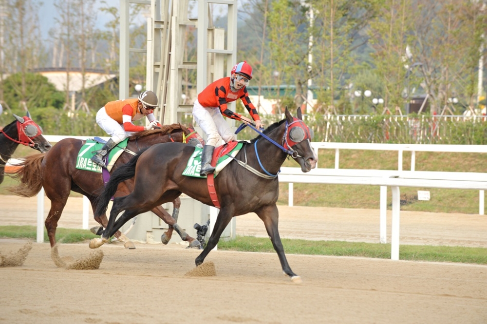 김용근 기수와 슈퍼코만도 (사진=마사회)