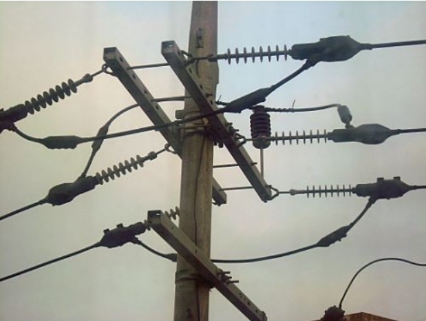 (이미지사진=독자제공)