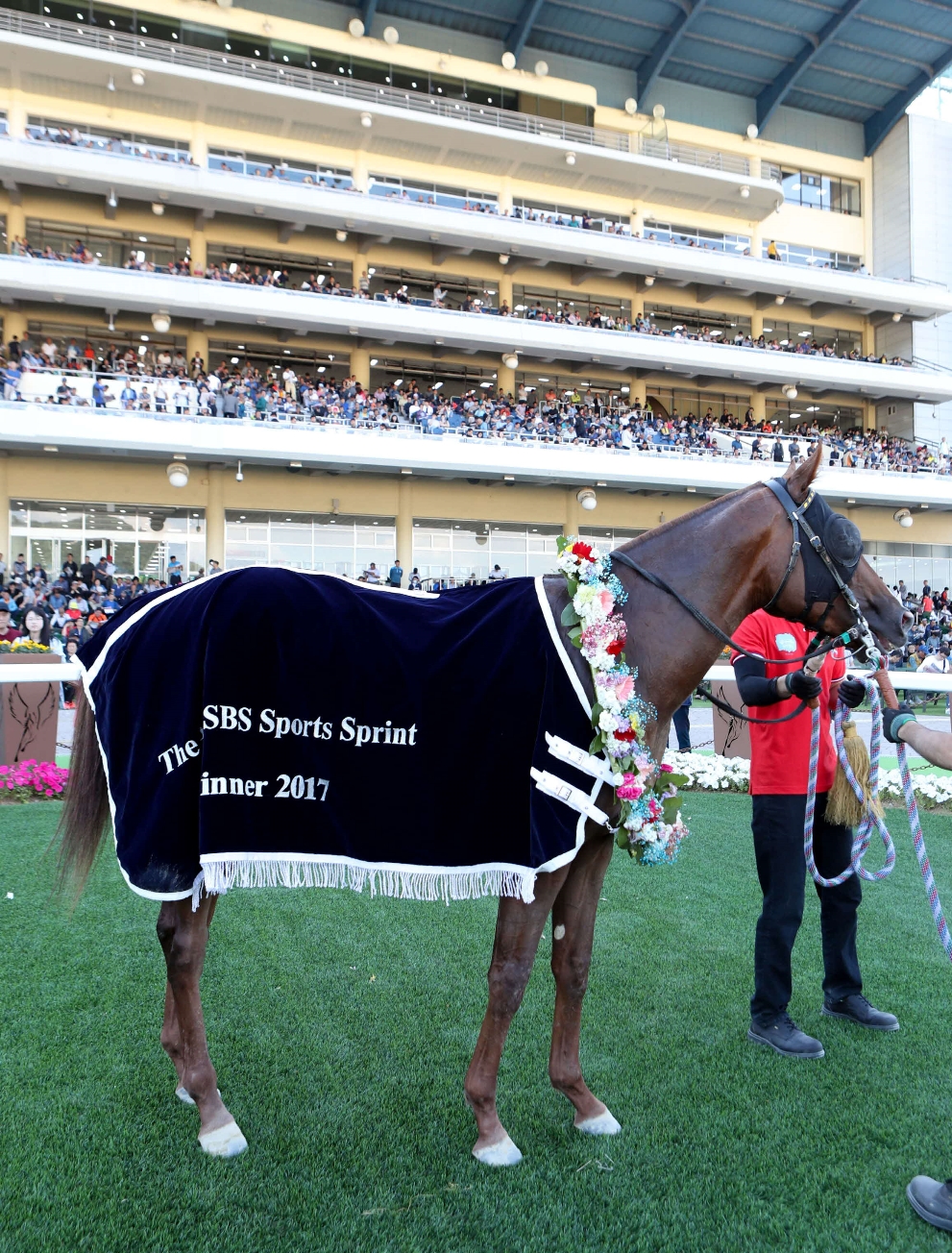 2017년6월4일 SBS스포츠 스프린트(GⅢ) 함완식 돌아온포경선-부산에서 올라온 우승마 돌아온 포경선 (사진=마사회)