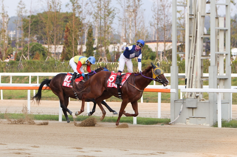 (사진=최범현 기수, 초인마)