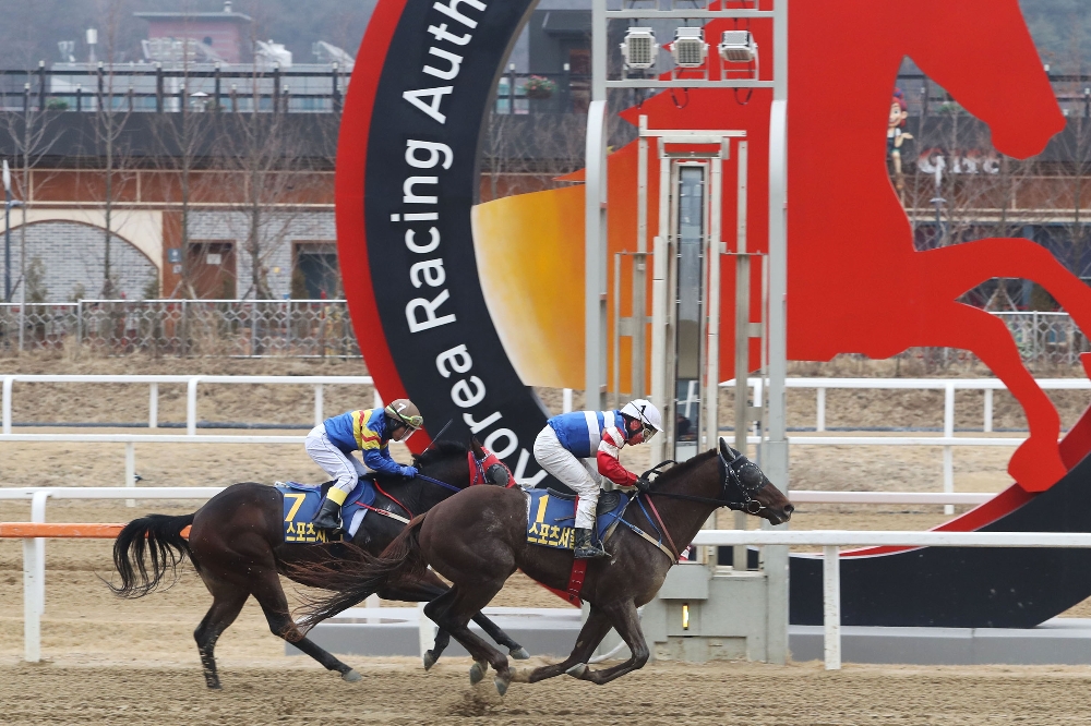 (사진=신형철 기수, 마스크)