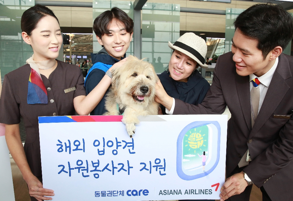 (사진=아사아나항공)