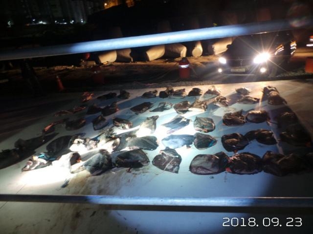 (사진제공=울산해양경찰서)