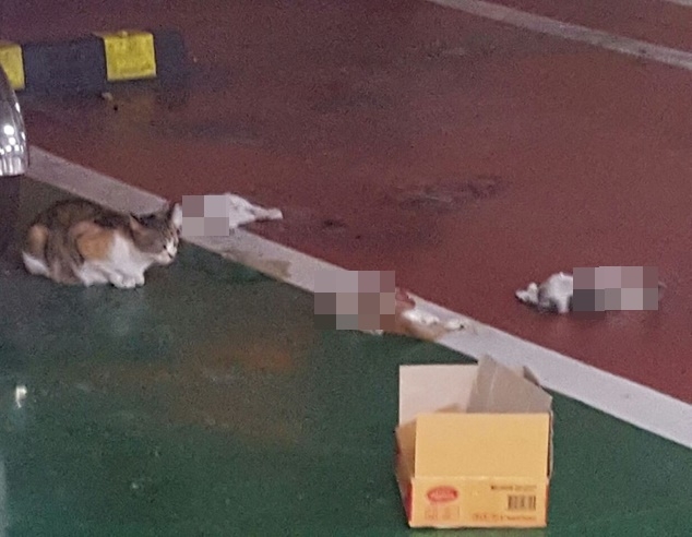 (사진제공=부산지방경찰청)