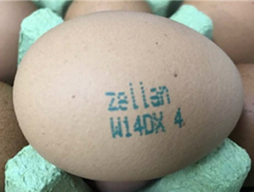 양산서 검출된 살충제 계란.(사진제공=양산시)