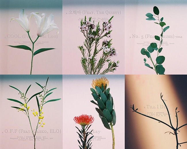 페노메코, 1st 미니앨범 ‘가든’ 트랙별 꽃 이미지 공개